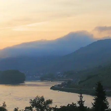 Wunderschoene Aussicht Garantiert Trechtingshausen 외부 사진