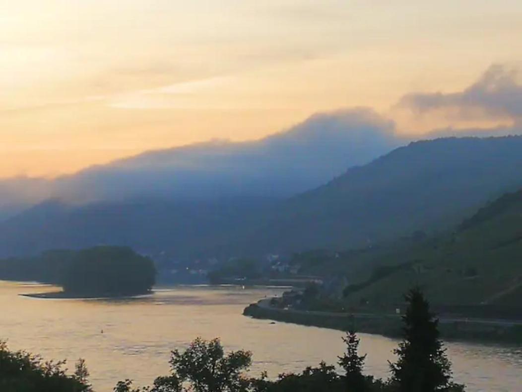Wunderschoene Aussicht Garantiert Trechtingshausen 외부 사진