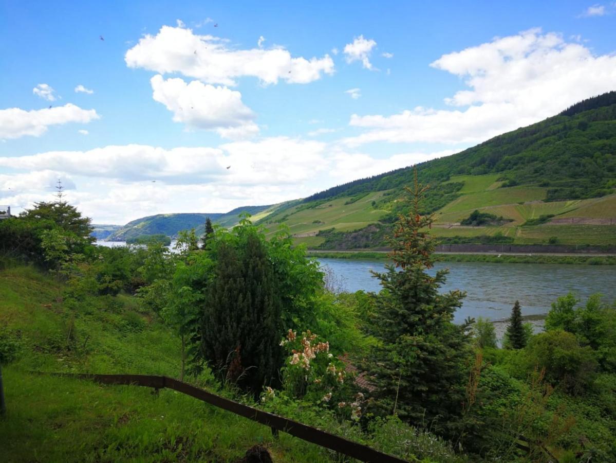 Wunderschoene Aussicht Garantiert Trechtingshausen 외부 사진