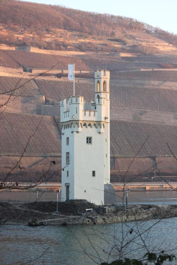 Wunderschoene Aussicht Garantiert Trechtingshausen 외부 사진
