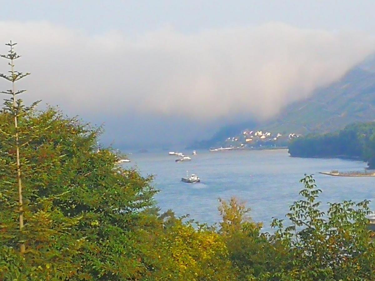Wunderschoene Aussicht Garantiert Trechtingshausen 외부 사진